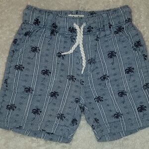 Hatley Blue Palm Tree Kids Shorts